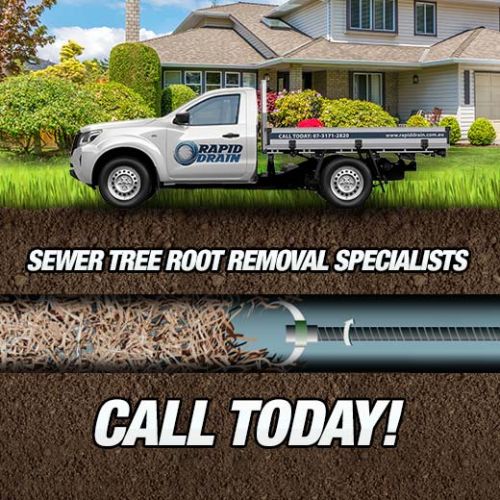 Sewer Tree Root Removal Specialists In Anstead